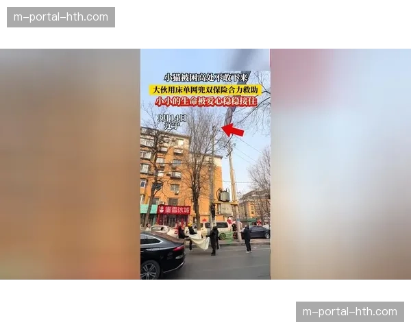 通讯:雷恩与南特比赛因突发医疗事件中断,双方队医合力救助看台球迷 通讯:雷恩与南特比赛因突发医疗事件中断,双方队医合力救助看台球迷